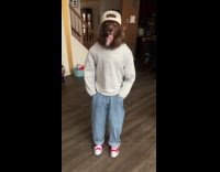 Dog wears the Chill Guy meme outfit