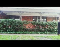 Black pants guy mows lawn skateboards pool