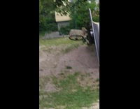 Kid ride the bicycle and fell on the side of the slide