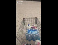 Collab BitchIG2 - Guy walking through mall with shopping cart of milk and drinks