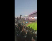 Owners bring dogs to baseball game 