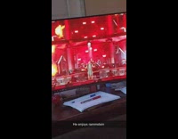 Black white cat watches concert on television 