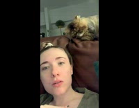 Cat bites at womans hair