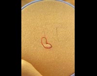 Collab BitchIG2 - Crochet and knitting Chanel logo with strawberry flowers onto orange shirt 