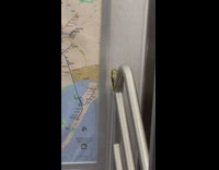 Praying mantis bug on subway metal railing 