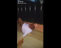 Chicken hen with sweater on walking around porch 