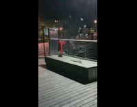 Pigeons near rat on bench 