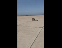 Man grey shirt bend over ground military base