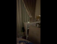 Black cat climb white curtain falls down