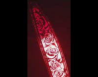 Rose print tail light cover car night