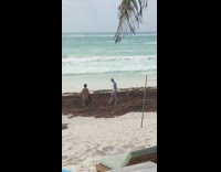 Silver bodysuit face mask beach sand seaweed  