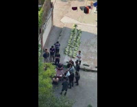 People playing cards next to a lot of romaine hearts