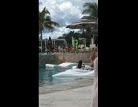 poolside photoshoot bright green bathing suit