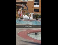 Collab IITW - Girl on white inflatable swan next to pool picture