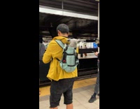 Man Wears Dog in Backpack at Subway 