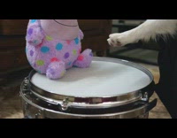 Dog recreates BTS song using toys instruments