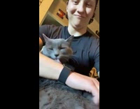 Pet cat gets massaged and licks owners arm