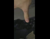 Man petting black kitten then opens palm