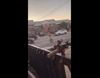 Person riding giraffe unicycle on street