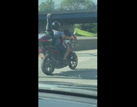 Motorcyclist drives on freeway with guitar and dog on lap 