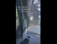 Woman goes after thieves who stole car