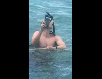 selfies sting rays sharks snorkel