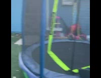 Dog chases dog runs into kid