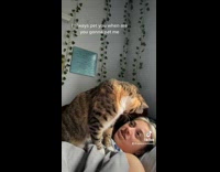 Cat sitting on top of girl in gray shirt in bed