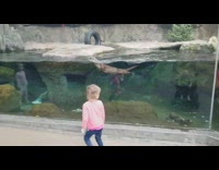 Otter follow play with kids aquarium pool