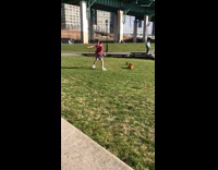 Guy maroon shirt crazy dance tiktok park