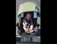Man carries senior dog during walk