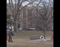 Girl wearing white dress dances at park 