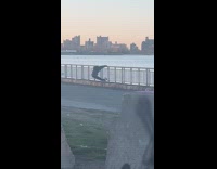 Guy works out stretch at parkway railings