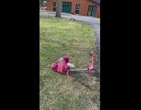 Toddler riding scooter falls and does scorpion