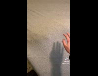 Collab BitchMP - Cat playing under grey blanket sheets