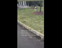 Delivery driver gets bit by customers dog 