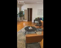 Dog sits on chair like a human man