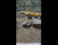 Bikini girl sits poses blue paddle board 