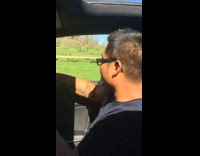 Nervous Sensitive Man Feeds Wild Ostrich in Enclosure