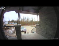 Man walking left dog on porch