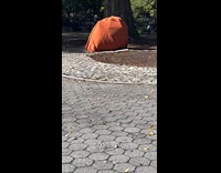 People inside orange blanket at the park