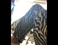 Puppy walks under legs like bridge girl 