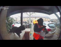 Delivery man orange vest shocked by cat CCTV