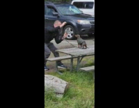 Man takes a picture of his pet dog on the table