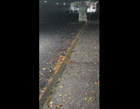 Public Toilet house on fire on the sidewalk under the bridge