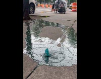 Blue liquid leak out from pavement crack
