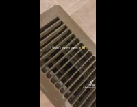 Black white cat inside of vent 