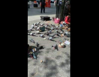 Collab winy - Real pigeon joins toy pigeons on ground