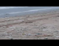 Beach is littered with trash after storm 