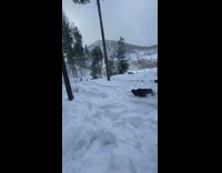 Skier jumps off hill and backflips headfirst into snow